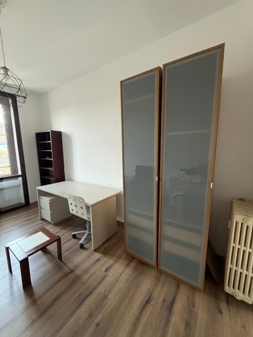 Via Plinio Milano Milano foto 4