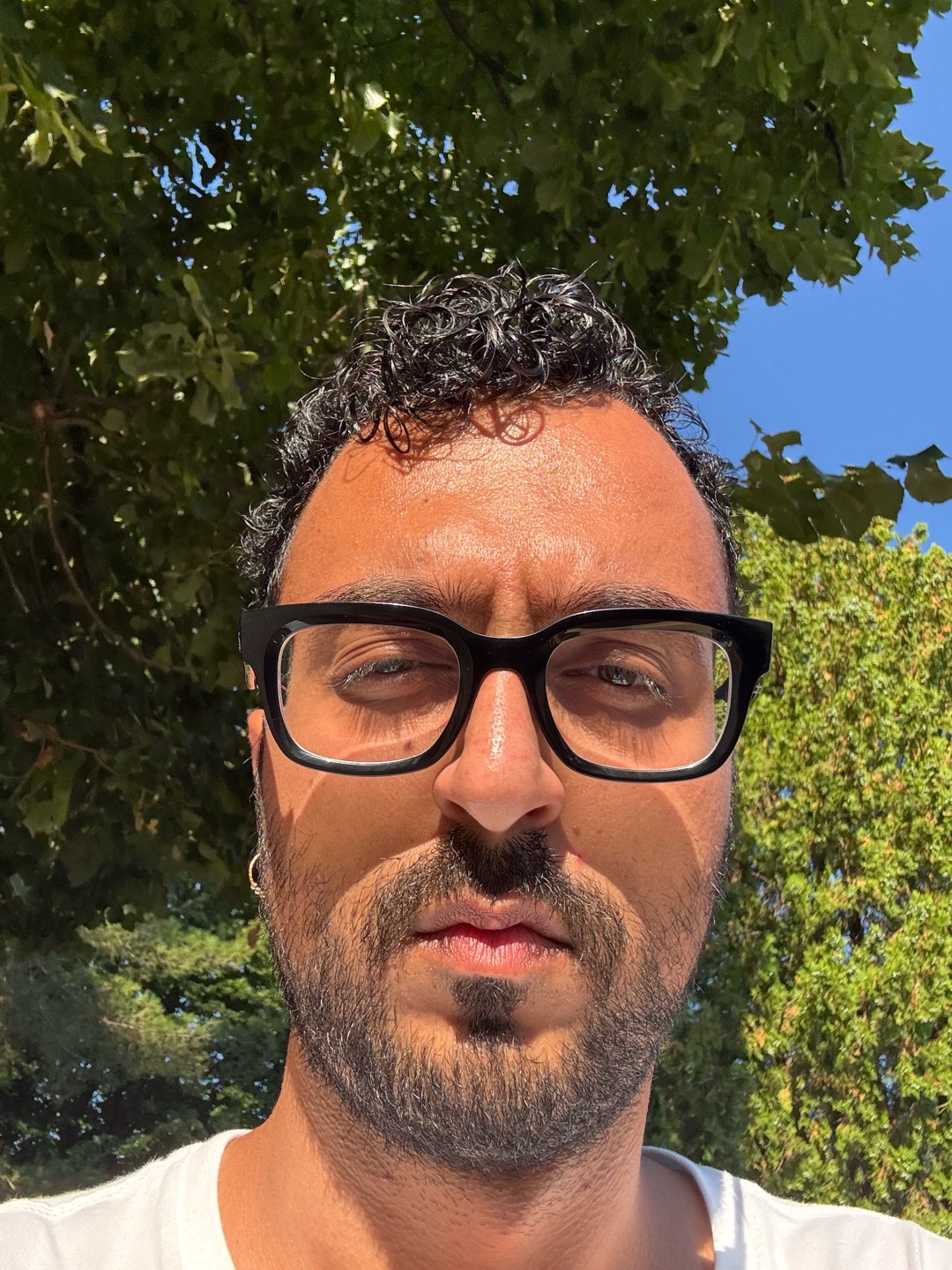 Ata Dinparasti Saleh