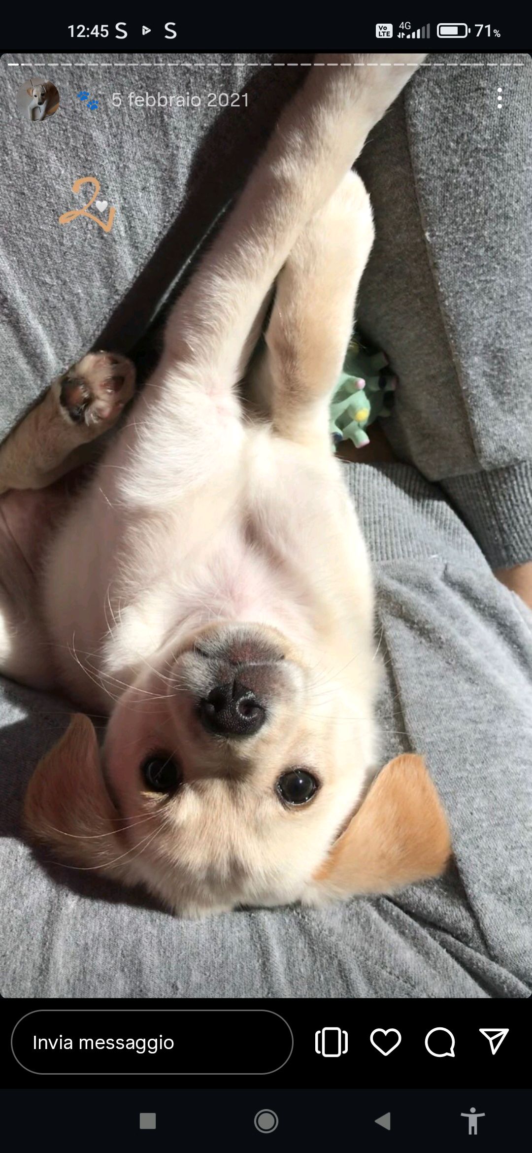 Rita
