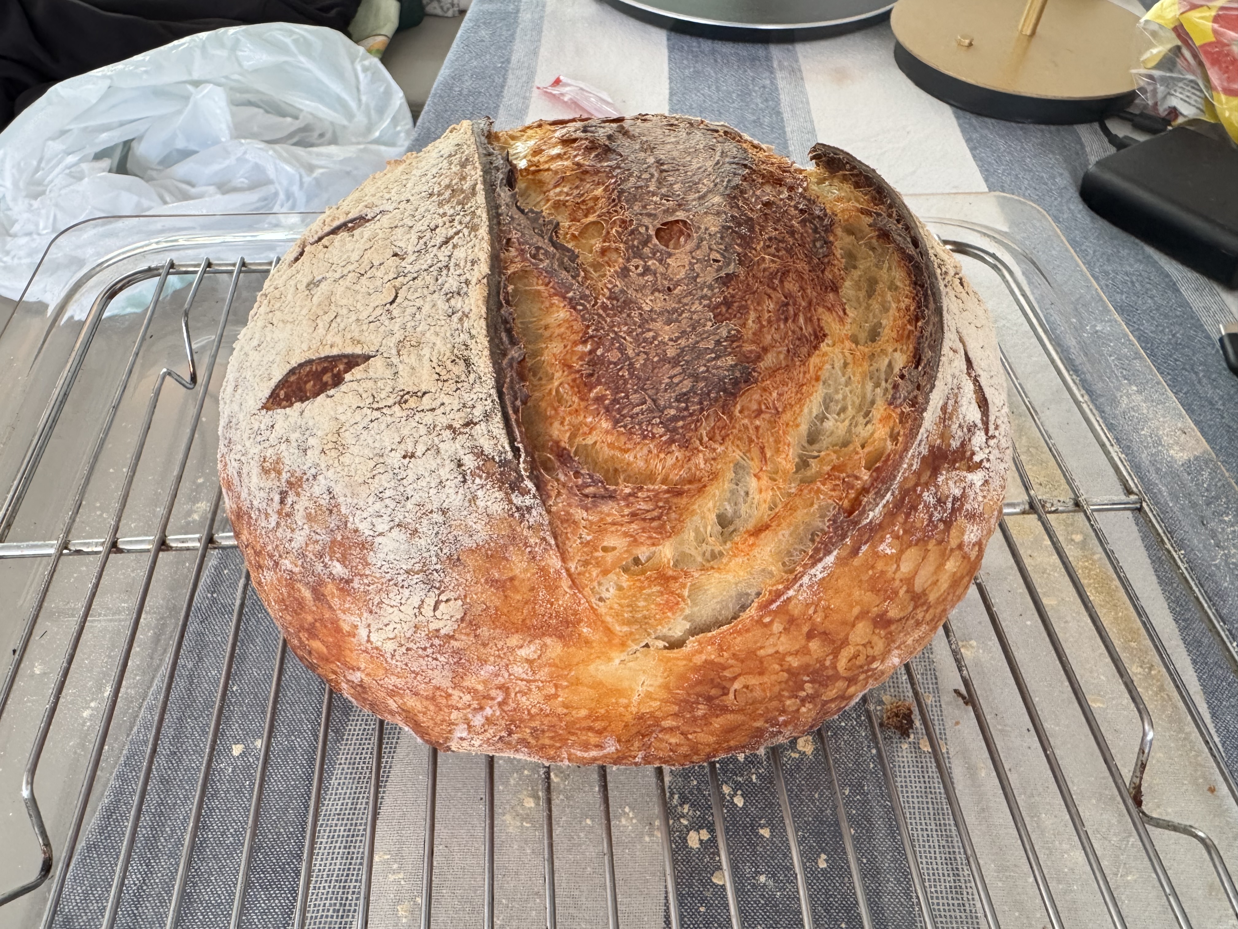 Sour Dough Bread