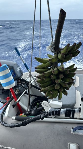 Day 2 Fair Winds & Following Seas
