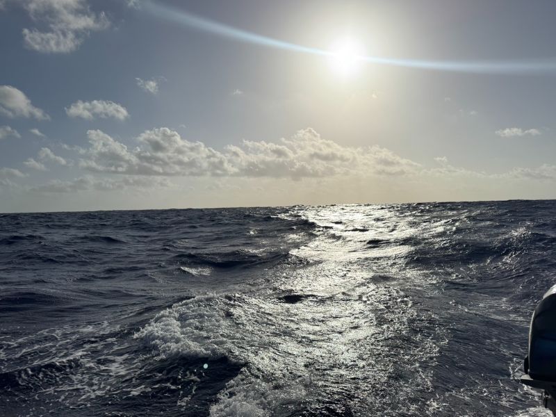 The Yucatan Current