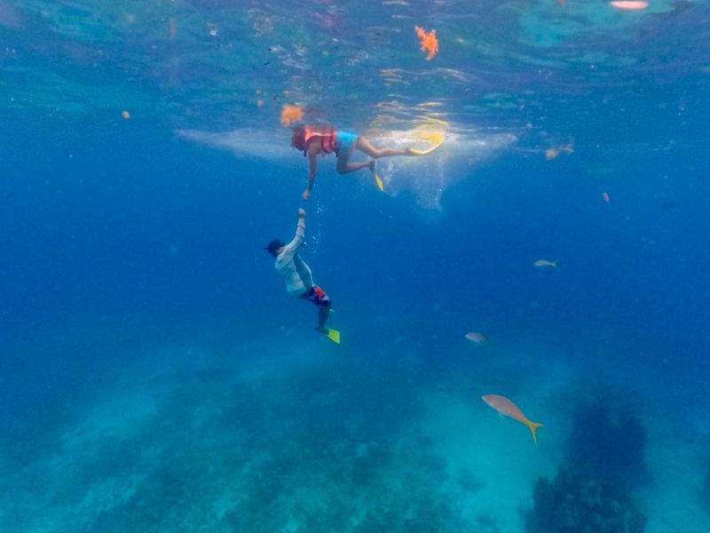 Musa the Underwater Museum