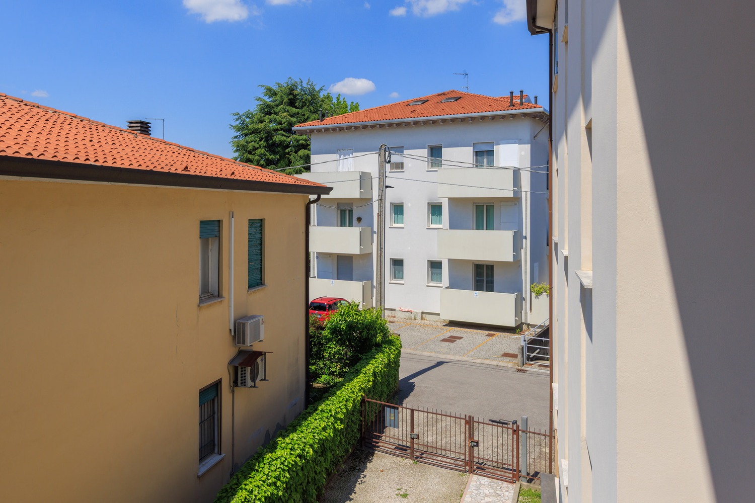 1.2 LIGUSTRELLO