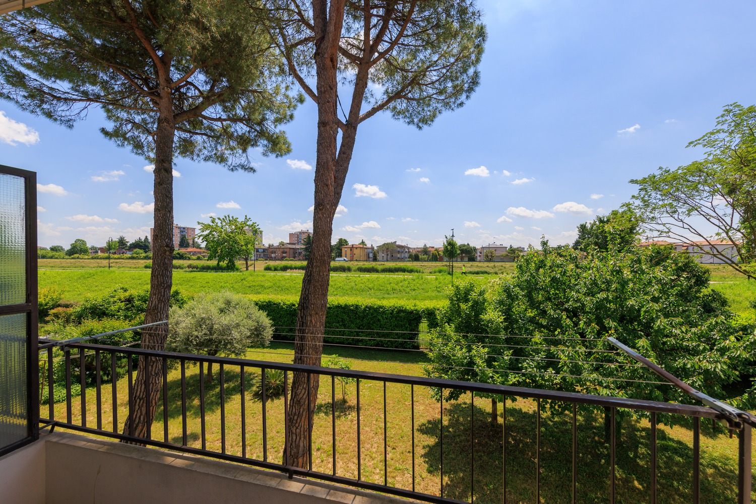 1.2 LIGUSTRELLO