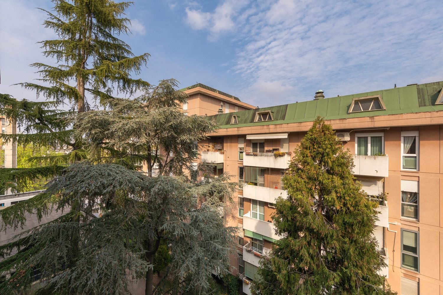 1. 1 LIGUSTRELLO