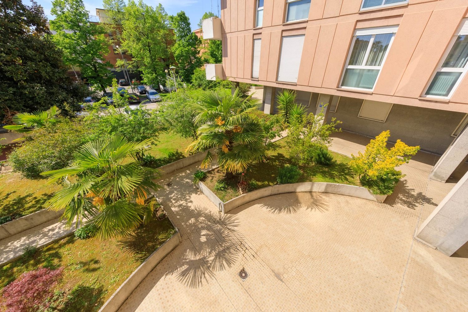 1. LIGUSTRELLO