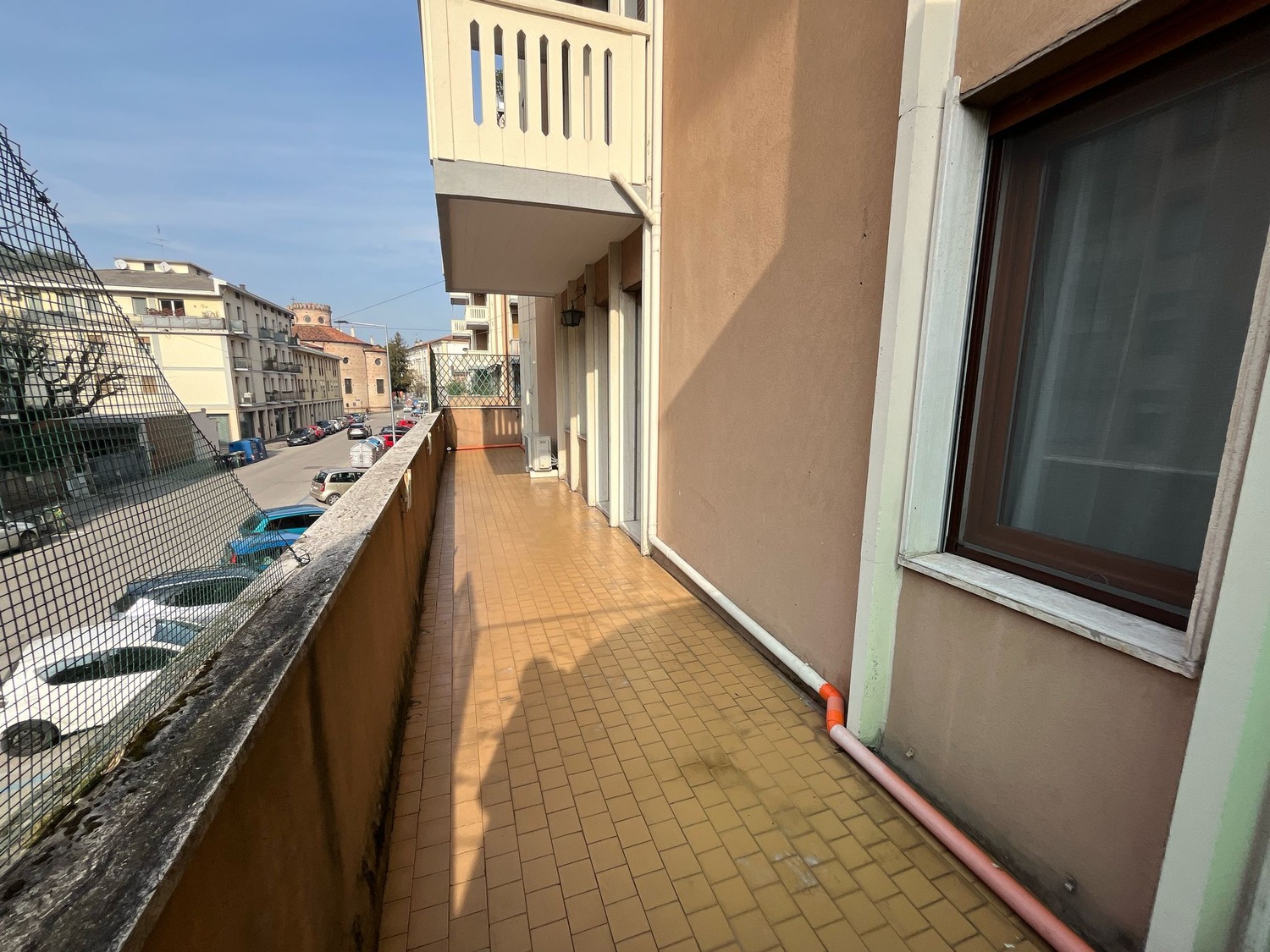 1.1 LIGUSTRELLO.01