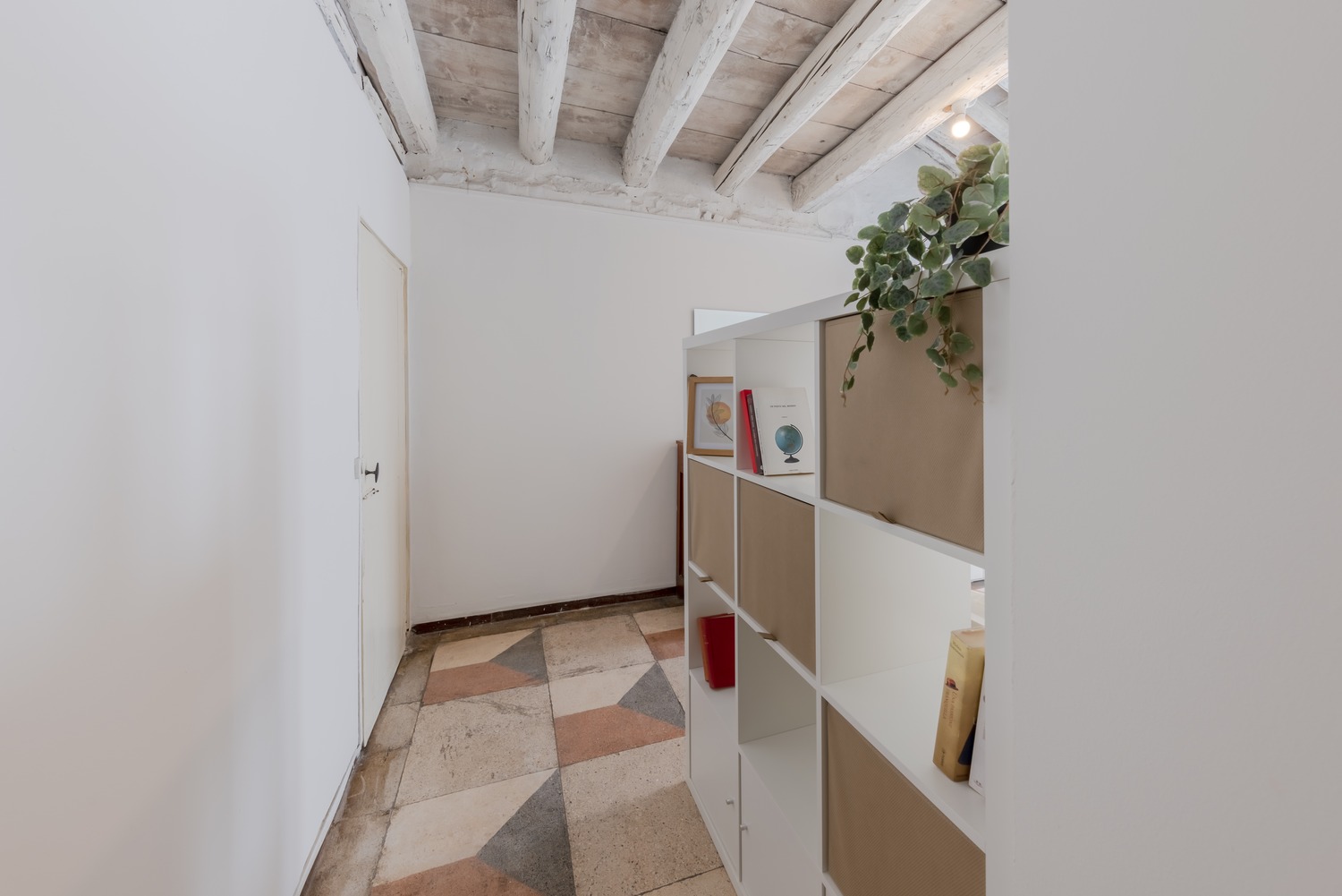 1.1 LIGUSTRELLO