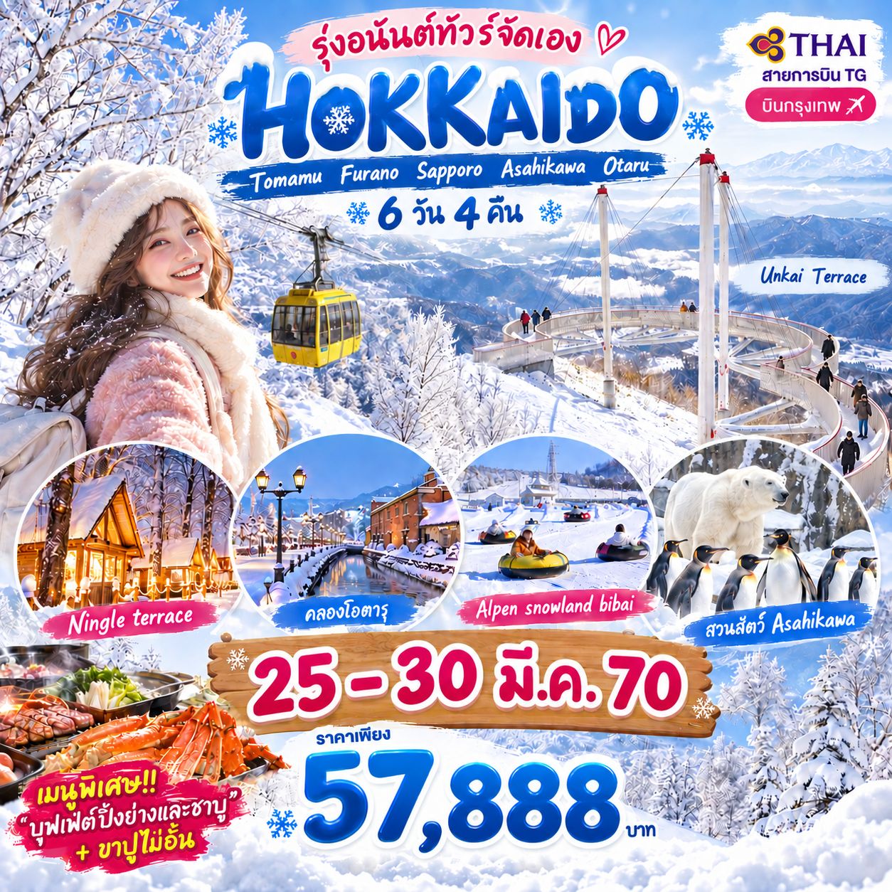 ฮอกไกโด บินจาก กทม TG 6วัน4คืน มกราคม - มีนาคม70