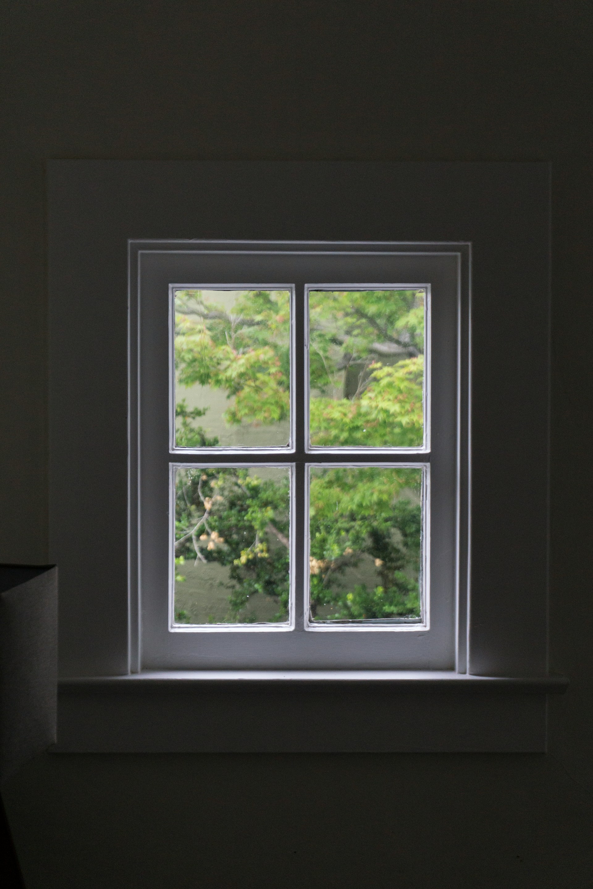 Windows and Doors project