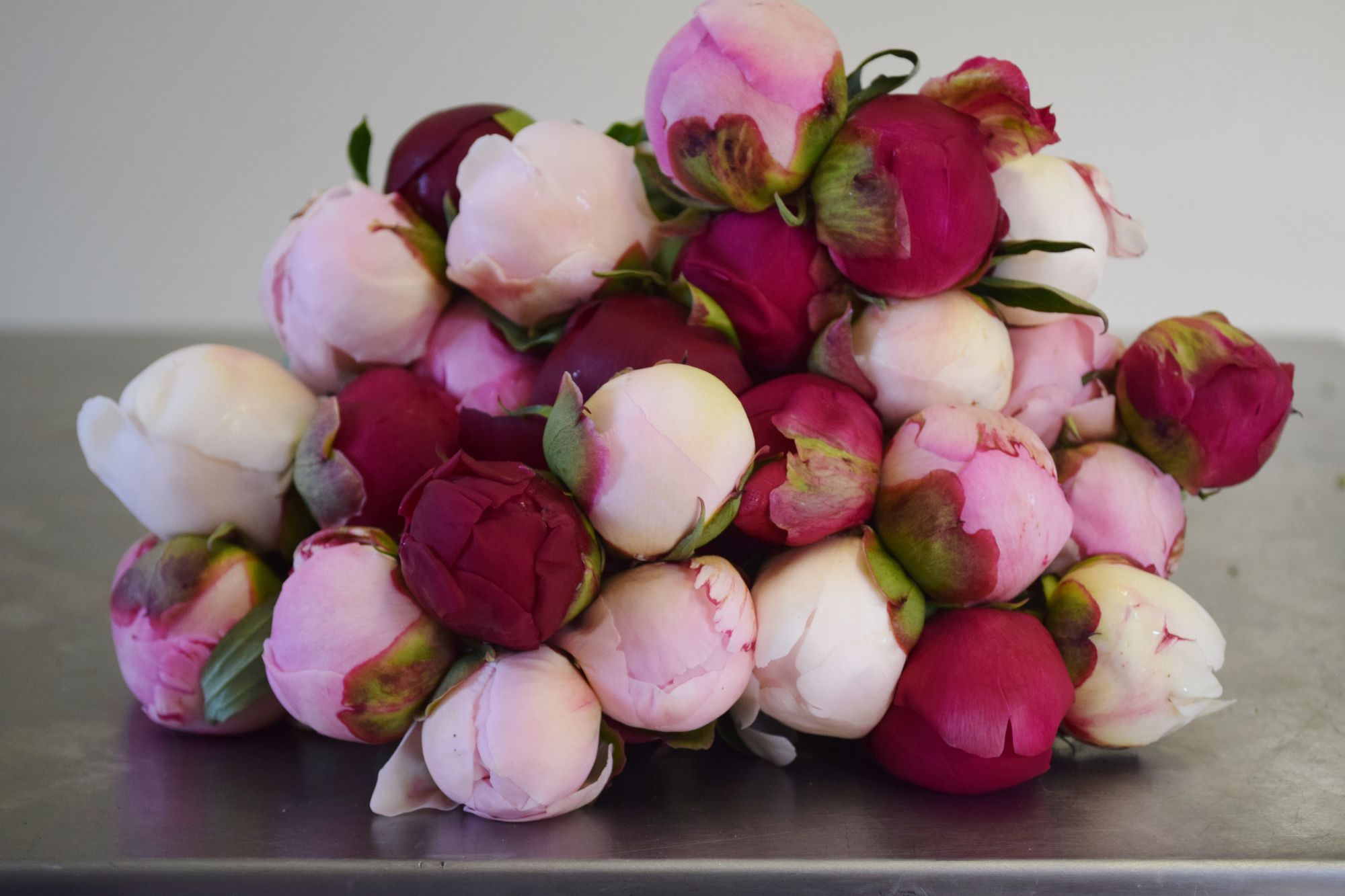 Bold and Beautiful Bouquet (20 Stems)