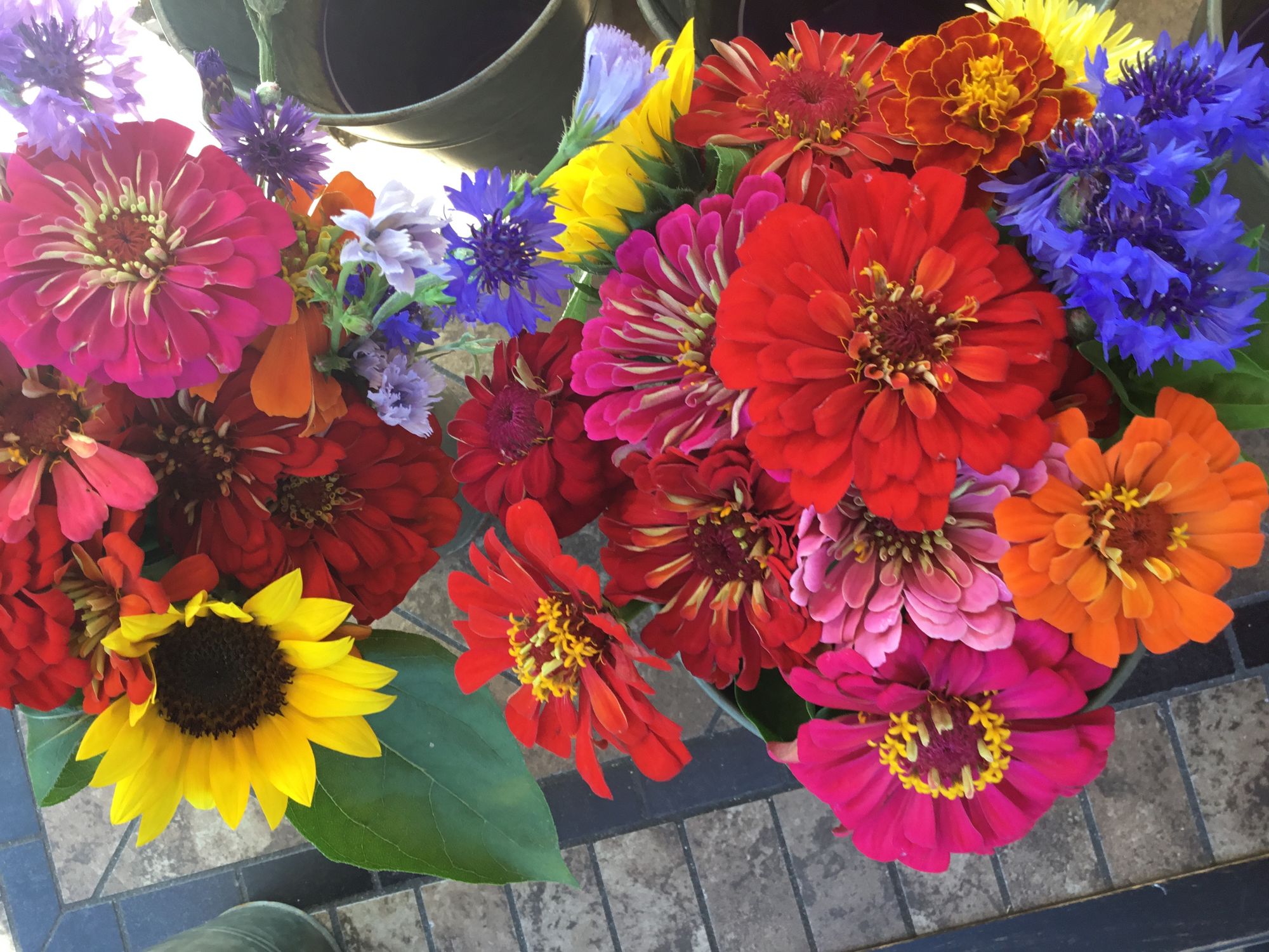 Sunflower & Zinnia bouquets