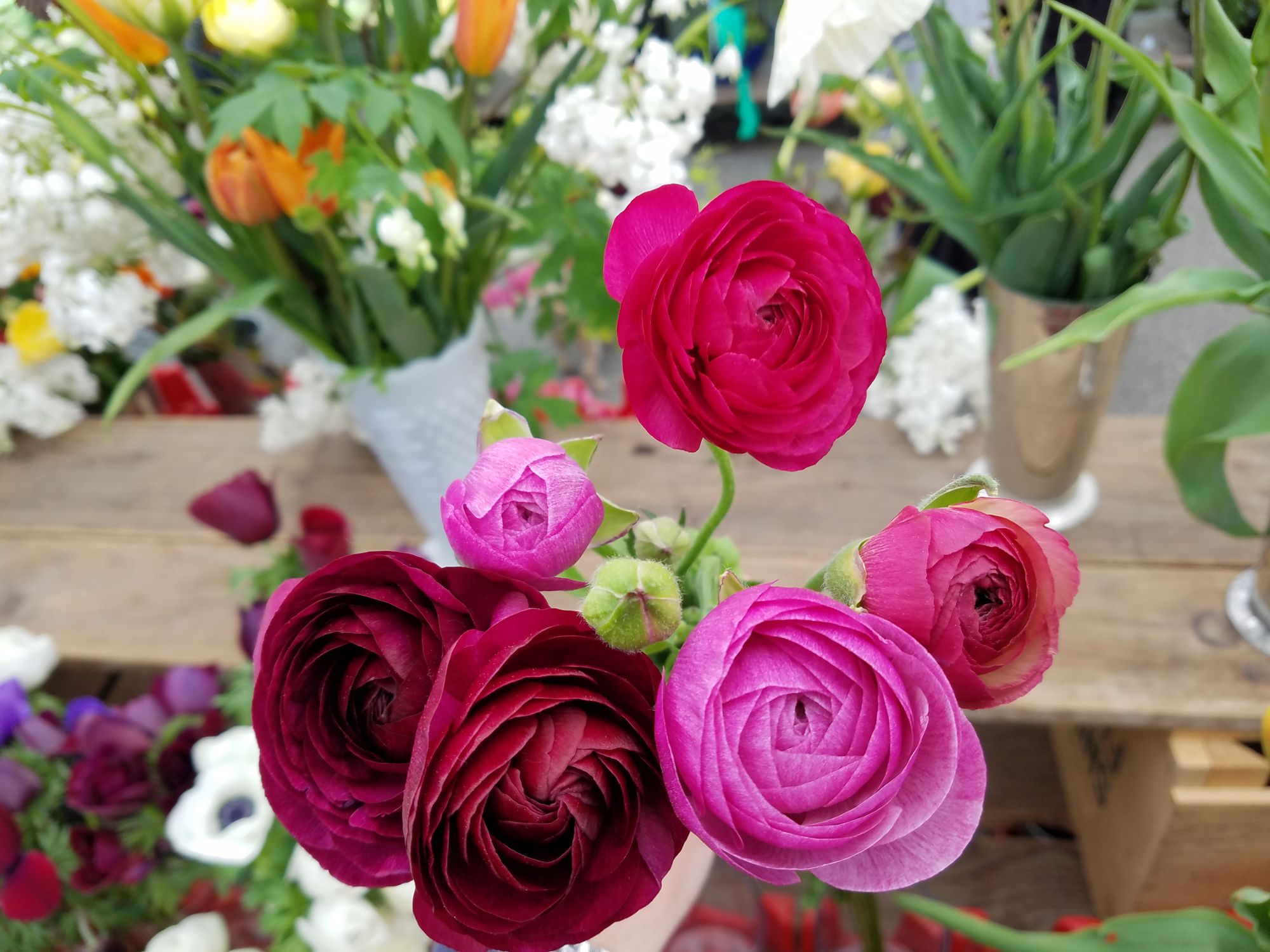 8 stem ranunculus bouquet, wrapped