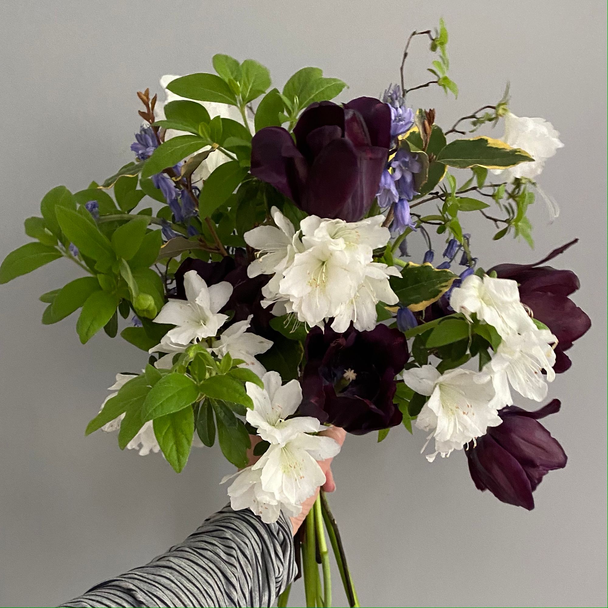 Grower's Choice - LG