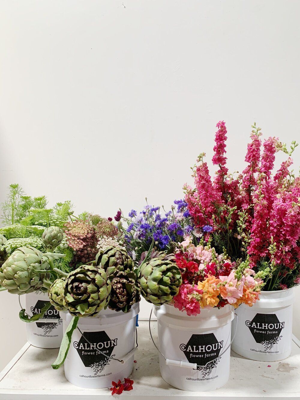 Mixed Bucket - Farmer's Choice