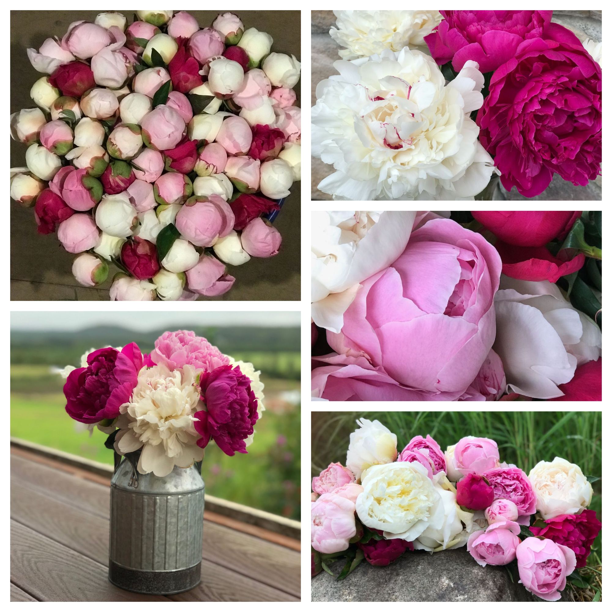 Best-Selling Assortment (100 stems)