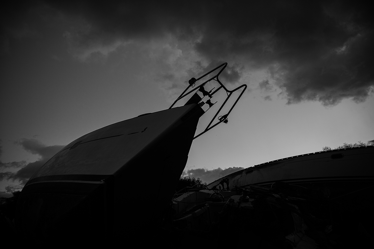 With roots and without