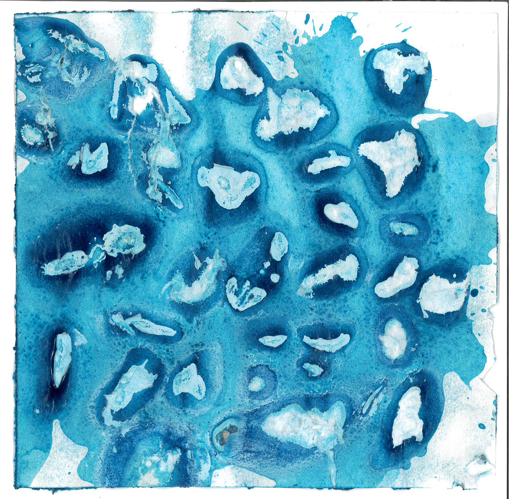  Vsevolod Prokhorov  "Owls are not what they seem" 