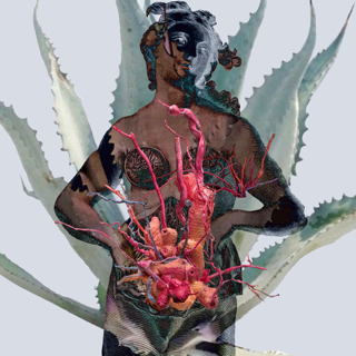 Aurora Bresci  "The Flesh of Plants"