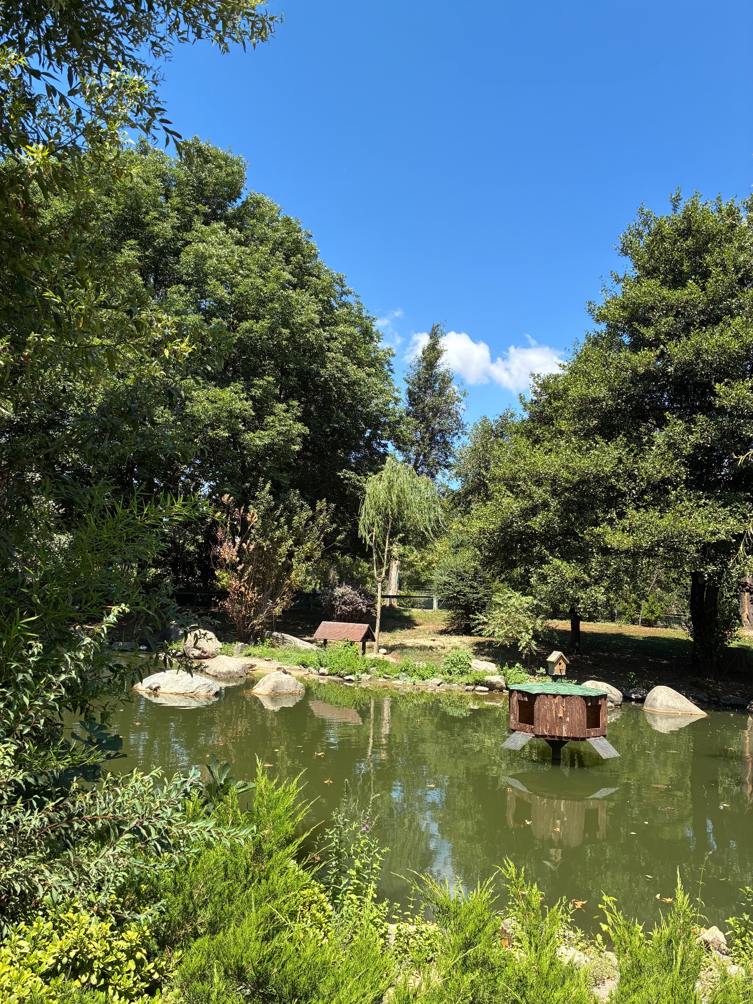 Bursa Hayvanat bahçesi Bursa ZOO fotoğrafı 2