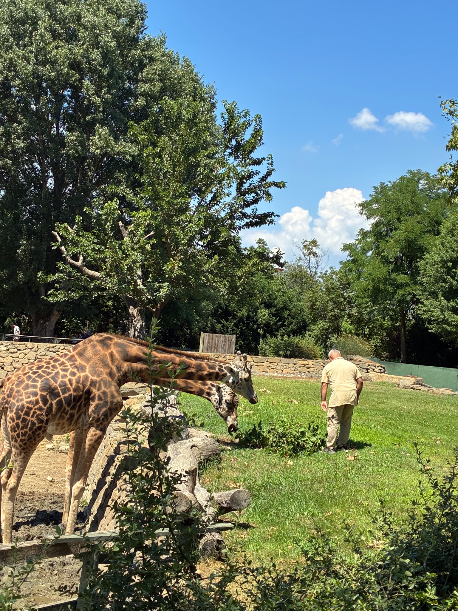Bursa Hayvanat bahçesi Bursa ZOO fotoğrafı 3