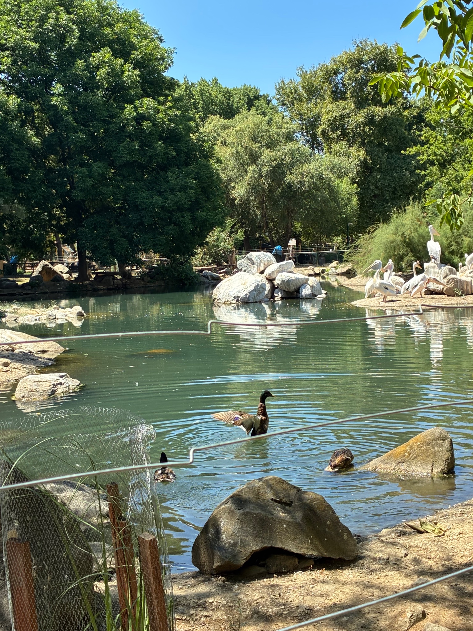 Bursa Hayvanat bahçesi Bursa ZOO fotoğrafı