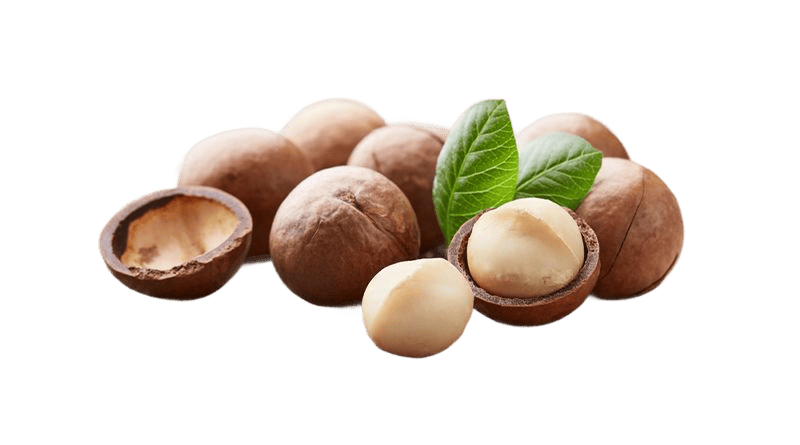 Royal Macadamia Story