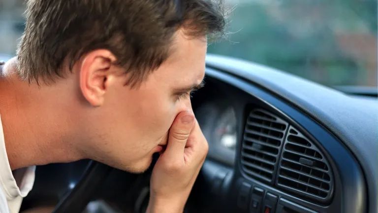 Still Smell in Your Car After Cleaning? It Needs Deeper Car Cleaning