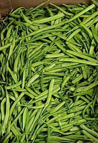 Cluster beans