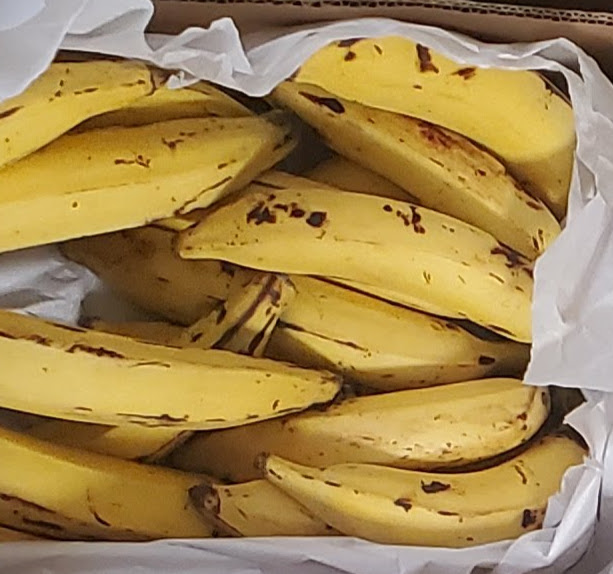 Kerala yellow banana 