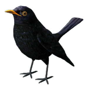User avatar picture