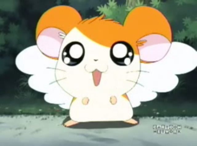 User avatar picture