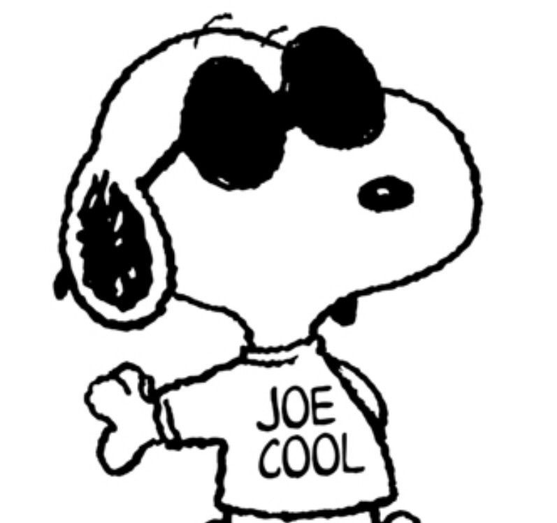 User avatar picture