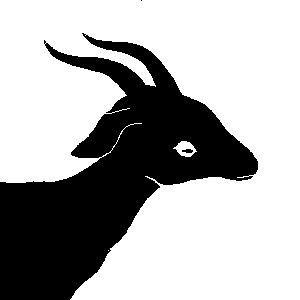 User avatar picture