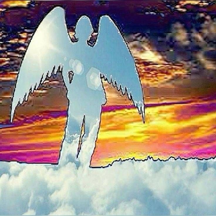 User avatar picture