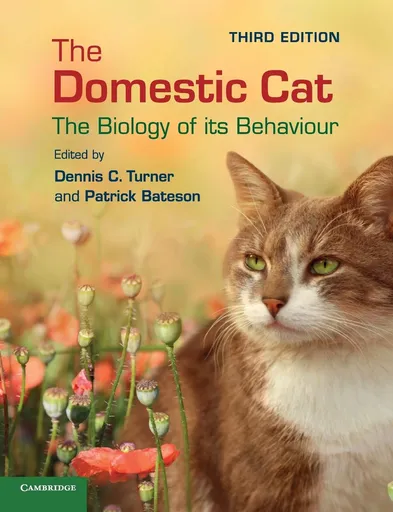 Domestic Cat