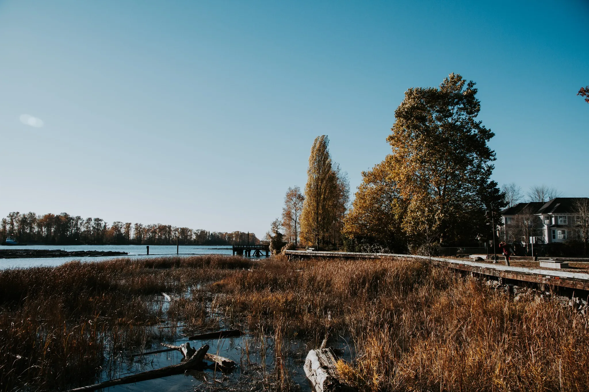 User banner image