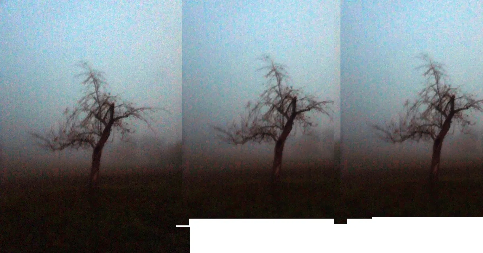 User banner image