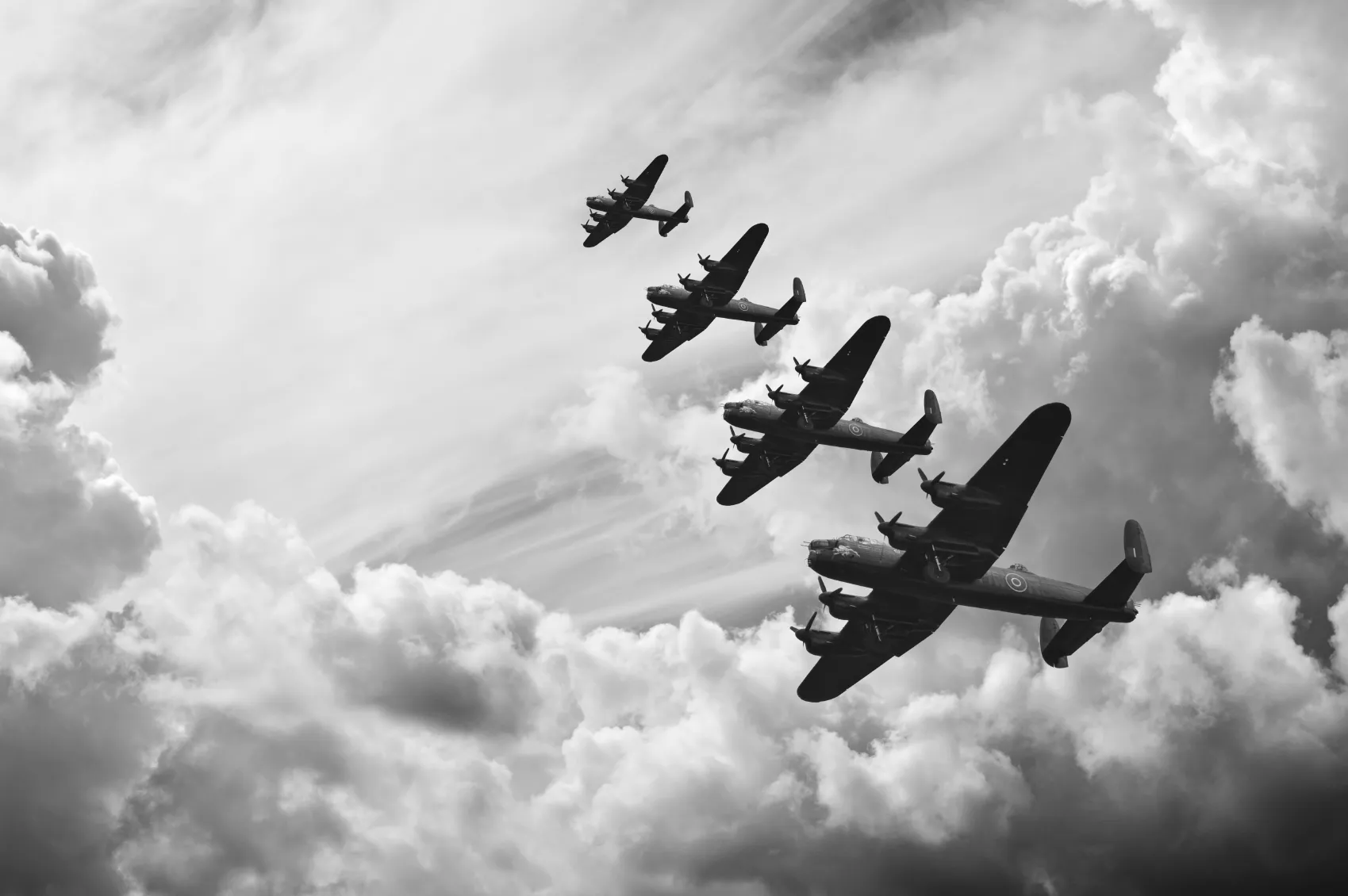 User banner image
