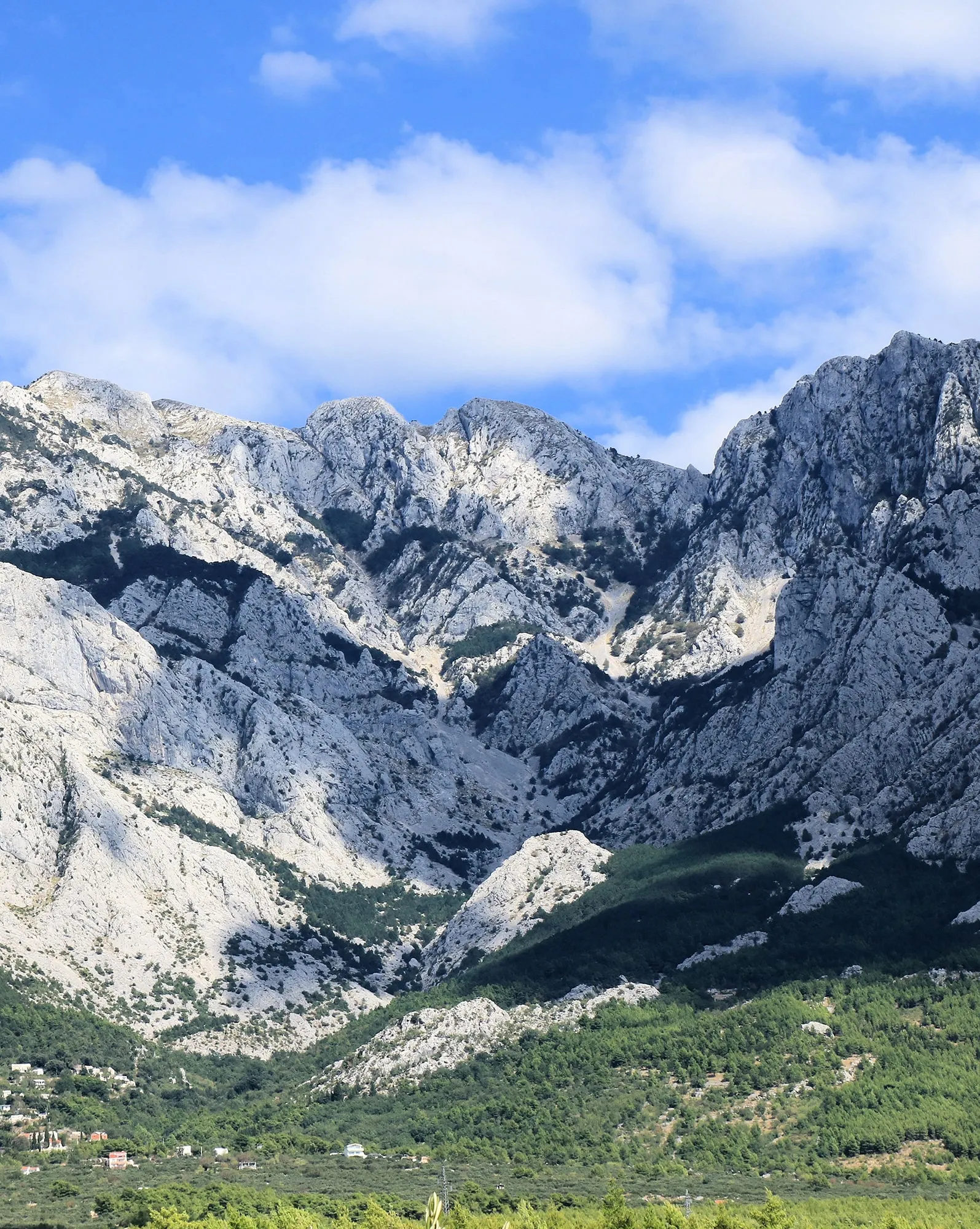 User banner image