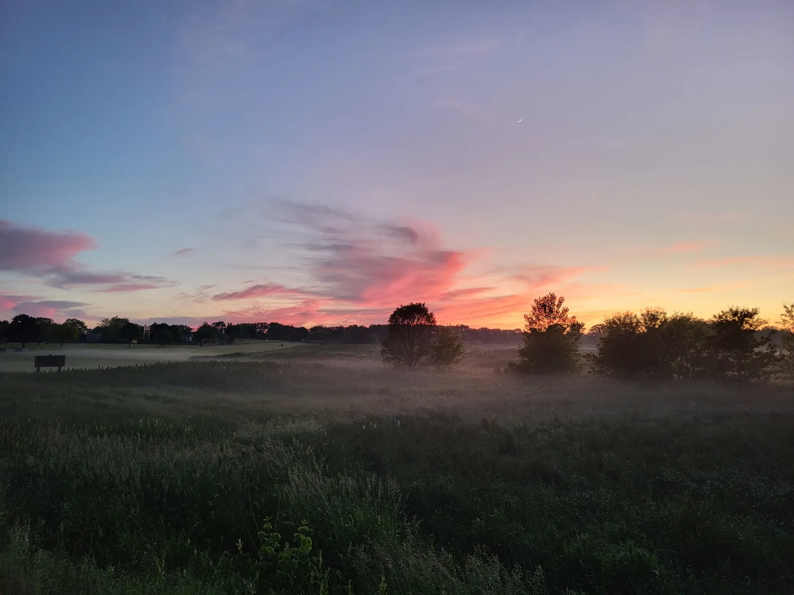 User banner image