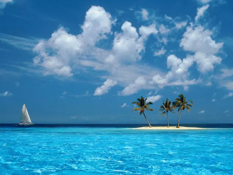 User banner image