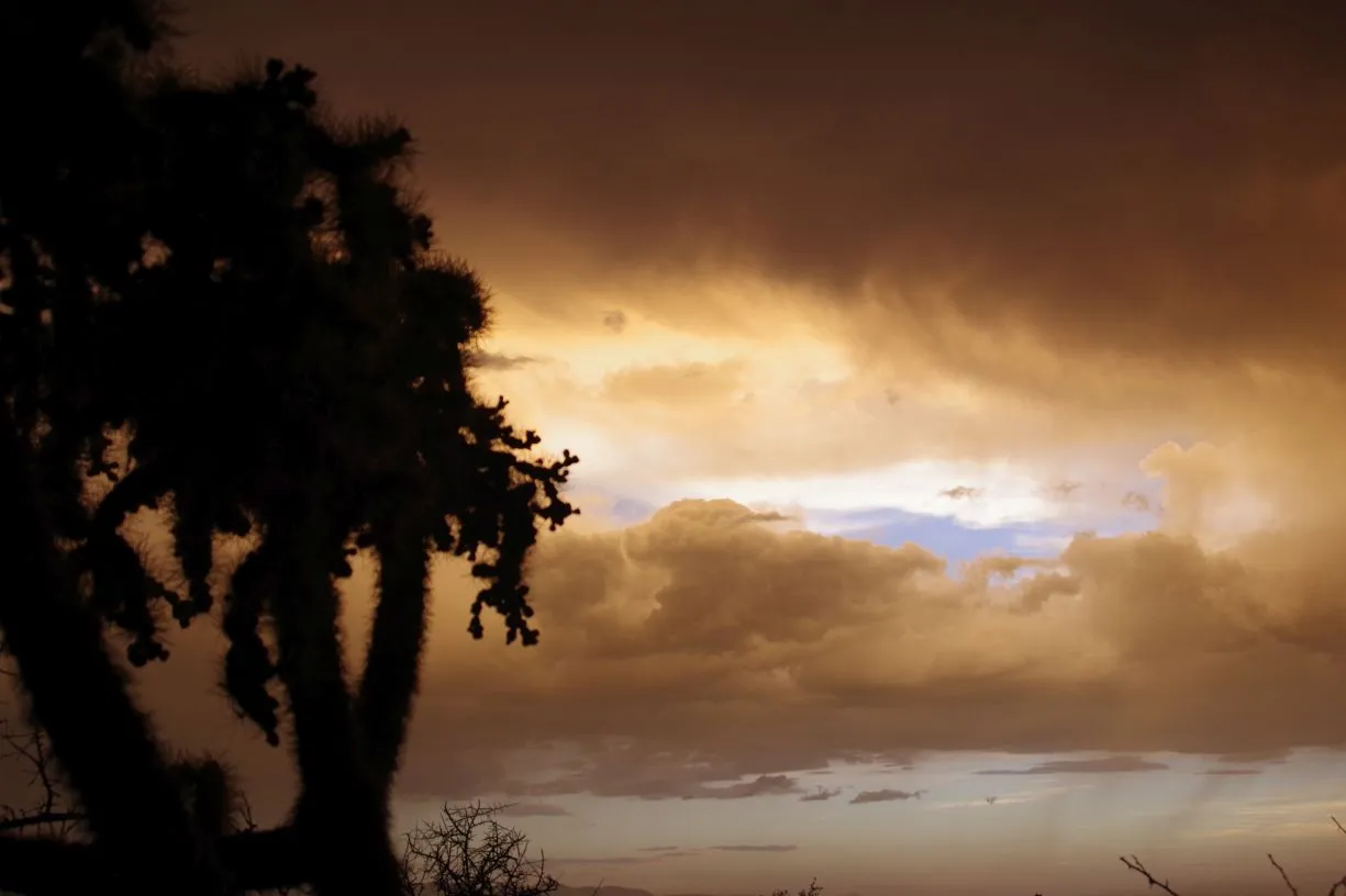 User banner image