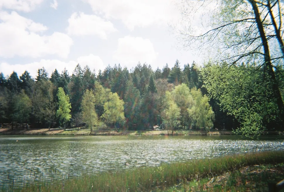 User banner image