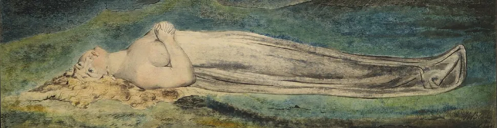 User banner image