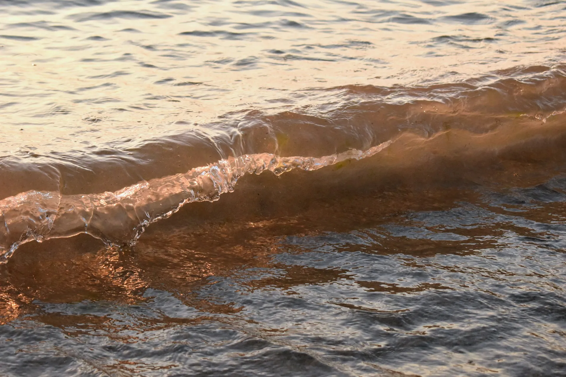 User banner image