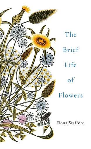Brief Life of Flowers