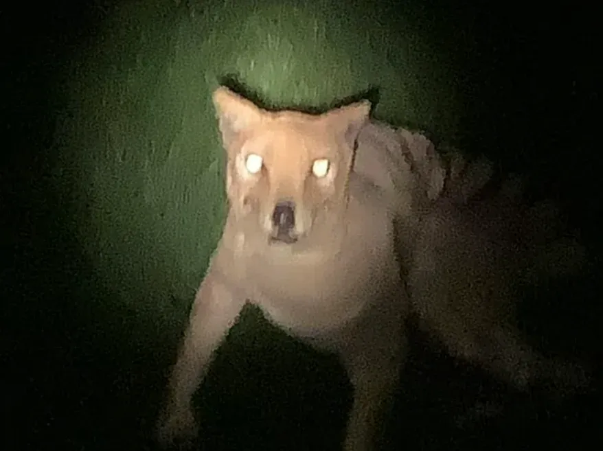 User banner image