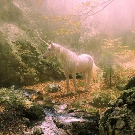 User banner image